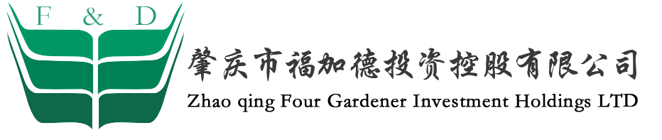 肇慶市福加德投資控股有限公司